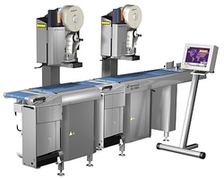 EMBEDDED SOLUTIONS FOR WEIGHING MACHINES & SYSTEMS