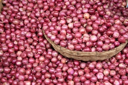 ONION from M. M. POONJIAJI SPICES LIMITED