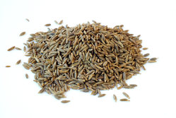 CUMIN SEEDS from M. LAKHAMSI & CO