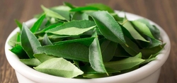 CURRY LEAVES from LAXMI ENTERPRISES