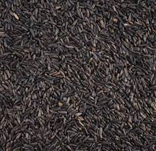 NIGER SEEDS from MAC AGRI EXPORTS PVT. LTD