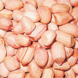 GROUNDNUTS