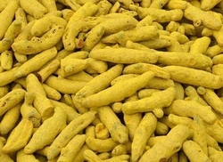 DRY TURMERIC from DC TRADERS