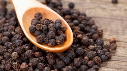BLACK PEPPER from DC TRADERS