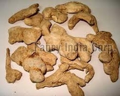 DRY GINGER from FANCY INDIA CORP.
