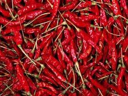 RED CHILLI from THE INTIMATE
