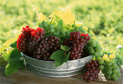 GRAPES from RAIEN TRADING CORPORATION