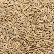 CUMIN SEEDS from NHC FOODS LIMITED