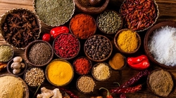 SPICES