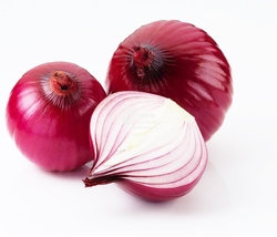 ONION from S M TRADING COMPANY