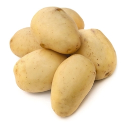 POTATOES from S M TRADING COMPANY