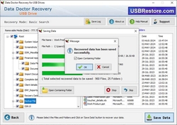 USB Restore Software